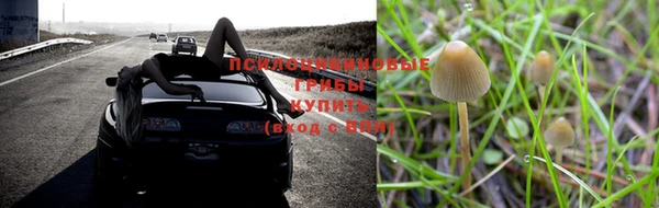 бошки Баксан