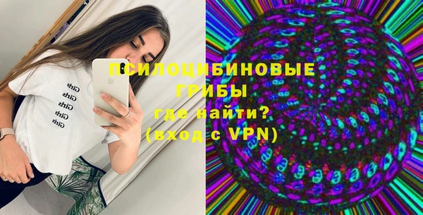 гашик Балахна