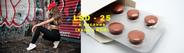 гашик Балахна