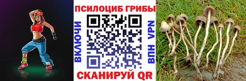 Галлюциногенные грибы Psilocybine cubensis Верещагино